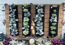 Detailed Instructions To Install a Raised Bed Garden how to build a raised garden bed